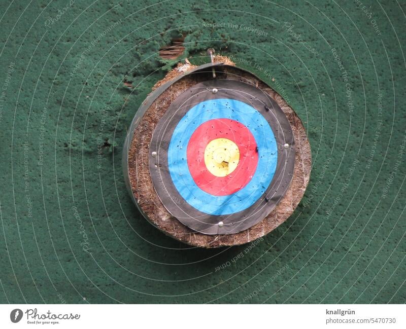 target Target Leisure and hobbies Sports Playing Aim archery meetings Colour photo Athletic Round Old Exterior shot Concentrate Precision Accuracy Dark green