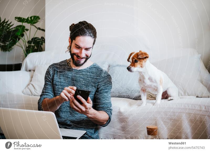 Man with laptop using mobile phone while sitting by dog at home color image colour image indoors indoor shot indoor shots interior interior view Interiors