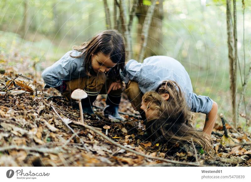 Two kids examining mushroom in the forest human human being human beings humans person persons caucasian appearance caucasian ethnicity european 2 2 people