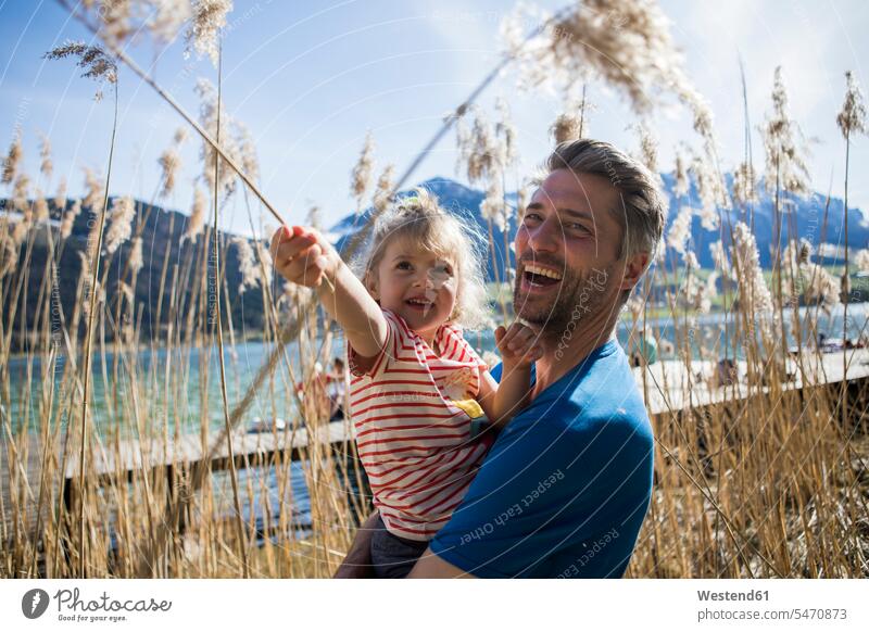 Austria, Tyrol, Walchsee, happy father carrying daughter in reeds at the lakeshore family families daughters pa fathers daddy dads papa Lakeshore Lake Shore