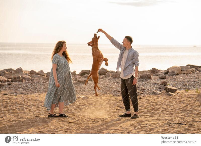 Young couple with dog at the beach, dog jumping animals creature creatures pet Canine dogs dresses smile play in the evening delight enjoyment Pleasant pleasure