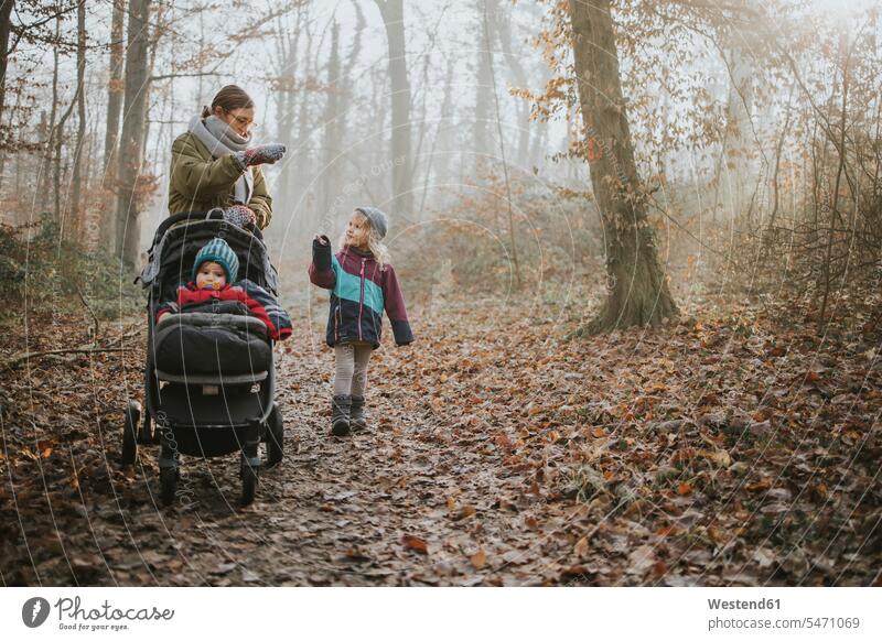 Mother with daughters during forest walk in autumn caps hat hats baby carriage baby carriages prams stroller strollers hibernal free time leisure time on the go