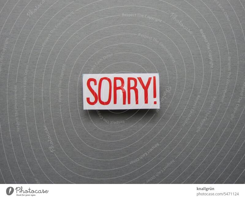 Sorry! Apology Emotions Communicate Remorse Moody sorry Characters Colour photo Deserted Signs and labeling Neutral Background Isolated Image Guilty Gray White