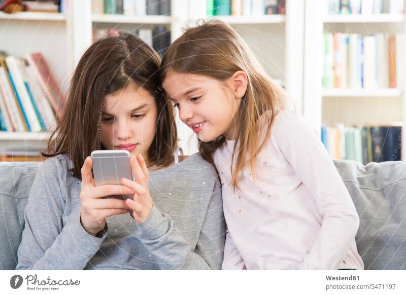 Sisters sitting on couch, using mobile phone sister sisters looking watching settee sofa sofas couches settees leisure free time leisure time together mobiles