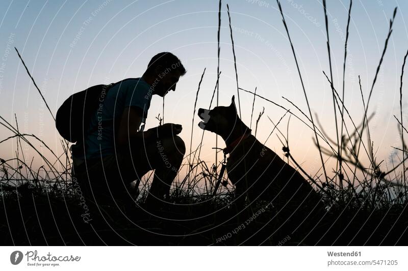 Silhouette man with his dog on grassy field at dawn color image colour image outdoors location shots outdoor shot outdoor shots one animal 1 single animal