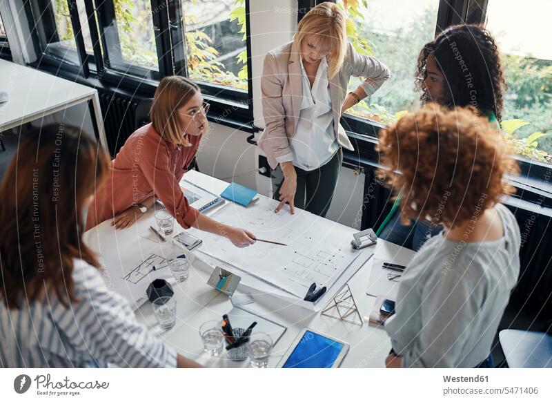 Businesswomen having a meeting in office with blueprints on table colleague Occupation Work job jobs profession professional occupation business life