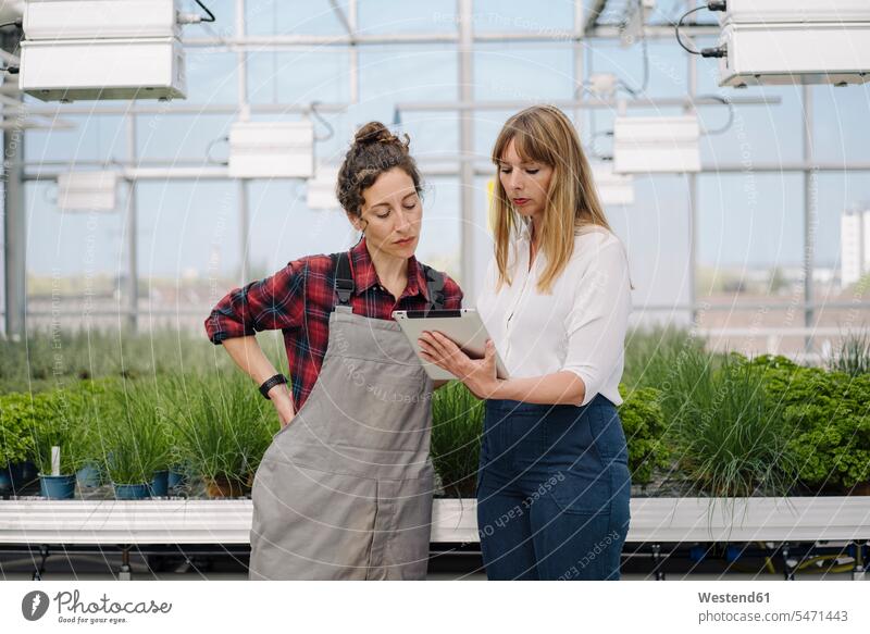 Gardener and businesswoman using tablet in greenhouse of a gardening shop human human being human beings humans person persons caucasian appearance