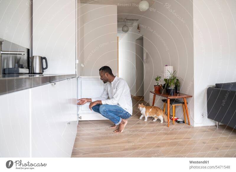 Man crouching in the kitchen looking into freezer animals creature creatures domestic animal pet cats couches settee settees sofa sofas at home free time