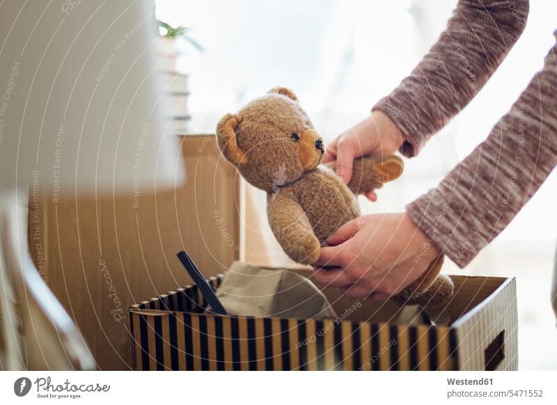 Close-up of woman unpacking cardboard box in new home taking out teddy bear human human being human beings humans person persons caucasian appearance