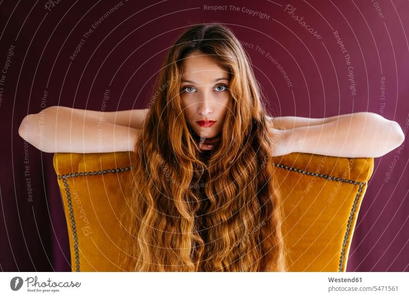 Portrait of young female fashion model with long brown wavy hair leaning on golden chair against colored background color image colour image beautiful Woman