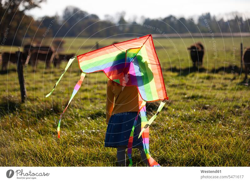 Rear view of girl in field with kite Field Fields farmland females girls child children kid kids people persons human being humans human beings rural scene