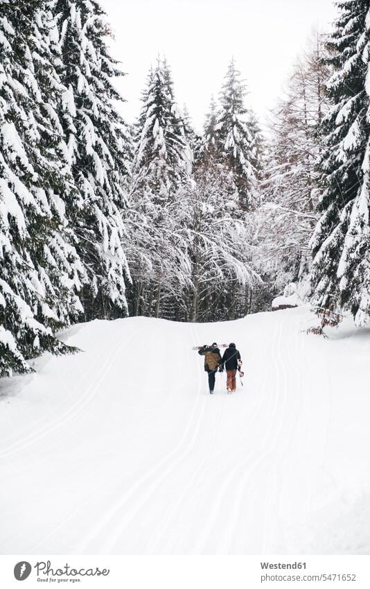 Italy, Modena, Cimone, rear view of couple with skiers and snowboard walking in winter forest skis snowboards snow board going hibernal woods forests twosomes