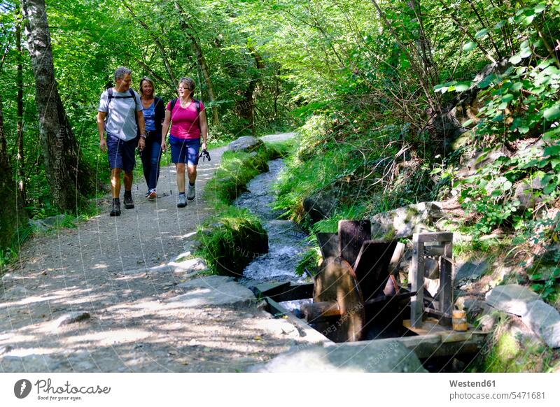 Italy, South Tyrol, Vinschgau, Rabland, HIkers on Rablander Waalweg hiker wanderers hikers friends mate hiking together leisure free time leisure time