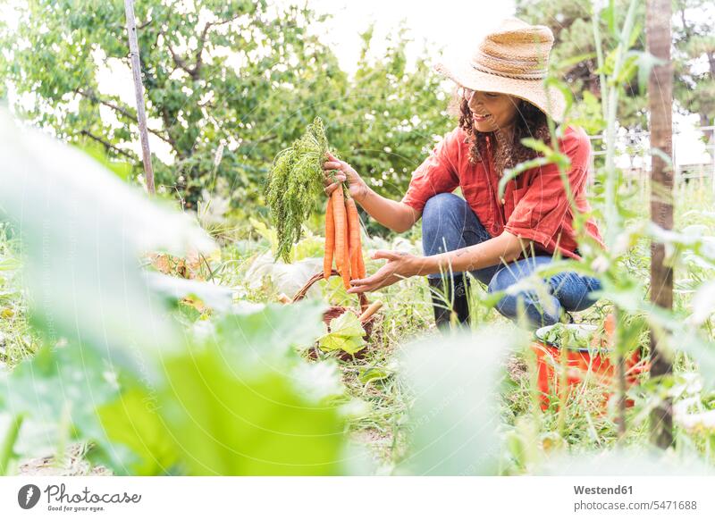 Smiling woman harvesting organic carrots at vegetable garden color image colour image outdoors location shots outdoor shot outdoor shots day daylight shot