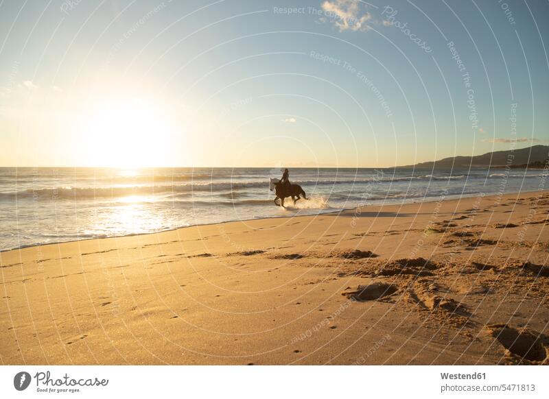 Spain, Tarifa, woman riding horse on the beach at sunset equus caballus horses females women sunsets sundown horse riding ride beaches mammal mammalian mammals