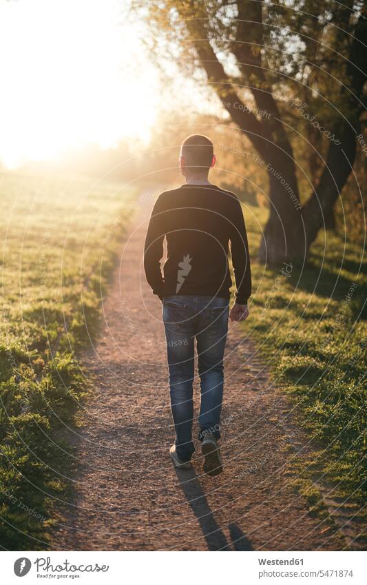 Back view of man walking in a park at twilight go going in the morning free time leisure time Lifestyle Move Movement moving parks skies sunny Sunny Day Sunlit