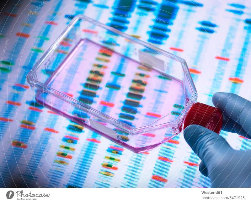 Genetic Engineering, Scientist viewing cells in a culture jar with a DNA profiles on a screen in the background illustrating gene editing genetics