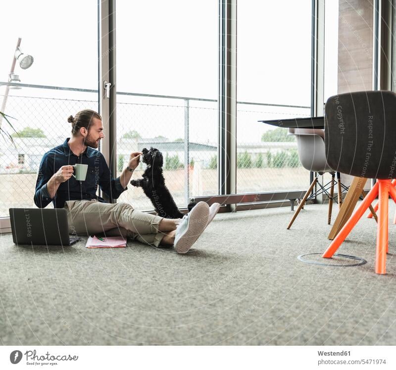 Young businessman with laptop sitting on the floor in office playing with dog dogs Canine Seated Businessman Business man Businessmen Business men offices