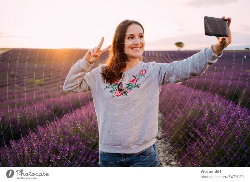 France, Valensole, portrait of smiling woman taking selfie in front of lavender field at sunset portraits females women Selfie Selfies sunsets sundown