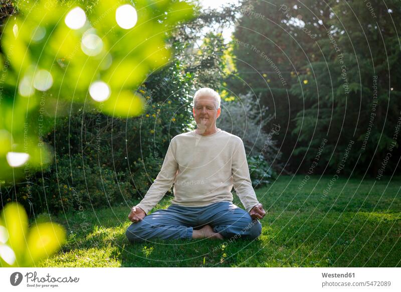 Senior man meditating in garden relax relaxing relaxation free time leisure time meditate meditations Zen like Zen-Like Leaves Meadows sunny Sunny Day Sunlit