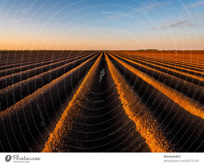 Ploughed field against sky during sunset color image colour image outdoors location shots outdoor shot outdoor shots sunsets sundown atmosphere Idyllic