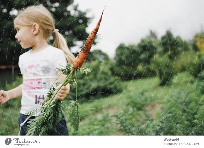 Little girl holding carrot in garden human human being human beings humans person persons caucasian appearance caucasian ethnicity european 1 one person only