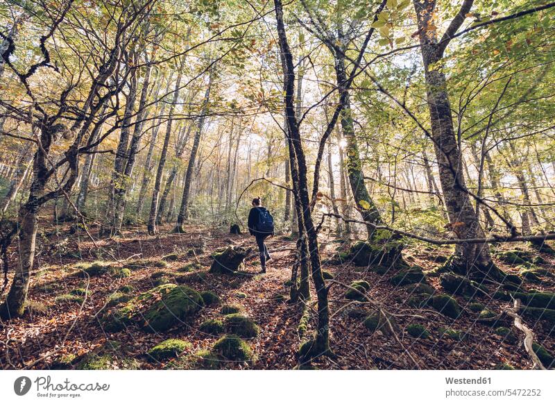 Spain, Navarra, Irati Forest, young woman walking in lush forest woods forests going females women Adults grown-ups grownups adult people persons human being