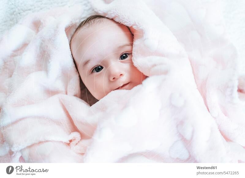 Portrait of baby girl covered with fluffy blanket Blankets smile relax relaxing relaxation delight enjoyment Pleasant pleasure Secure Emotions Feeling Feelings