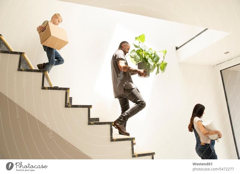 Family carrying various objects while moving down on steps in new home color image colour image Germany indoors indoor shot indoor shots interior interior view