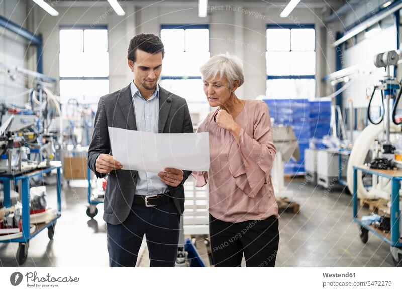 Businessman and senior woman looking at plan in a factory females women plans eyeing senior women elder women elder woman old Business man Businessmen
