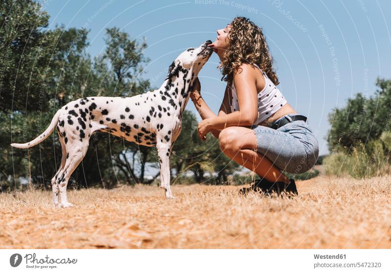 Dog licking face of young woman crouching on field during sunny day color image colour image pet owner Pet Owners owners outdoors location shots outdoor shot