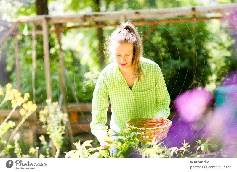 Young woman growng vegetables in urban garden caucasian caucasian appearance caucasian ethnicity european White - Caucasian one person only one person 1
