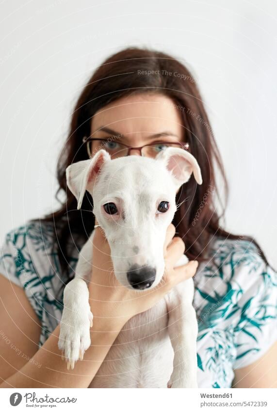 Portrait of white dog with owner in the background dogs Canine portrait portraits pets animal creatures animals colour colours puppy dog eyes animal themes