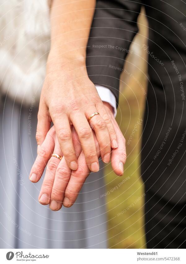 Close-up of bride and groom holding hands bridal couple bridal couples Wedding getting married marrying Marriage human hand human hands bridegrooms brides