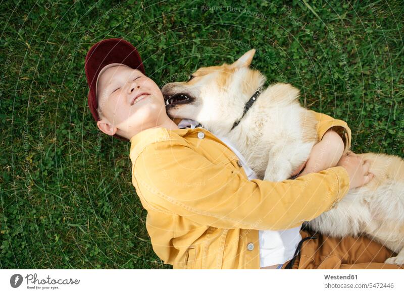 Boy with Welsh Corgi Pembroke lying on meadow animals creature creatures pet Canine dogs cuddle snuggle snuggling lick smile play embrace Embracement hug