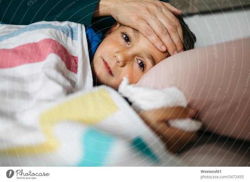 Portrait of sick boy lying in bed while his mother touching his forehead human human being human beings humans person persons families mama mom mommy mothers