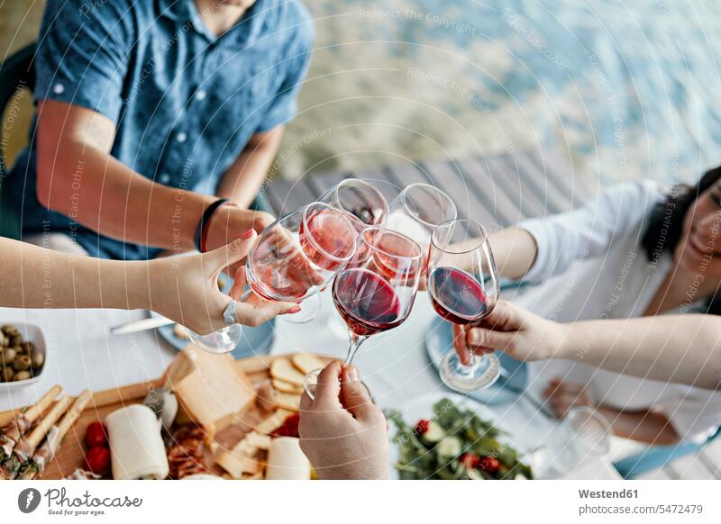 Friends having dinner at a lake clinking wine glasses human human being human beings humans person persons caucasian appearance caucasian ethnicity european