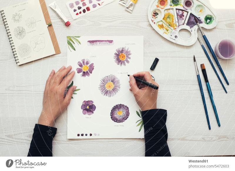 Woman painting flowers with water colors, top view brushes pencil pencils pens colour colours free time leisure time Ideas creative Flowers Bloom Blooms