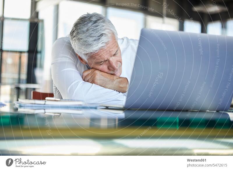 Exhausted businessman sleeping in front of laptop Office Offices using laptop using a laptop Using Laptops working At Work asleep Businessman Business man