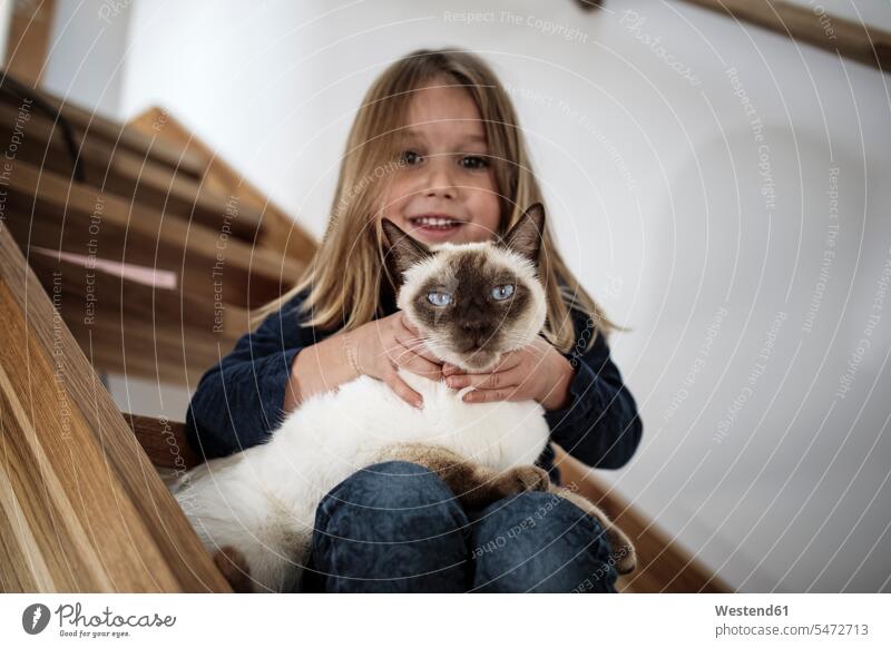 Little girl sitting on stairs with her Siamese cat at home cats stairway Seated females girls pets animal creatures animals child children kid kids people