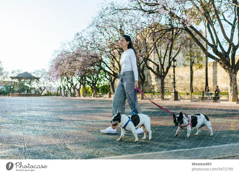 Spain, Andalusia, Jerez de la Frontera, Woman walking with two dogs on square woman females women animal-loving fond of animals love of animals pet friend