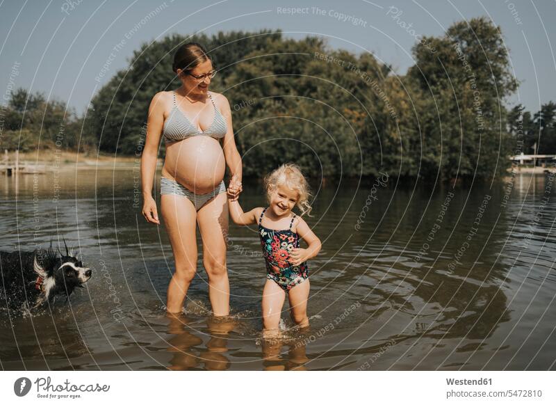 Netherlands, Schiermonnikoog, pregnant mother with daughter and Border Collie in a lake lakes daughters Pregnant Woman dog dogs Canine mommy mothers mummy mama