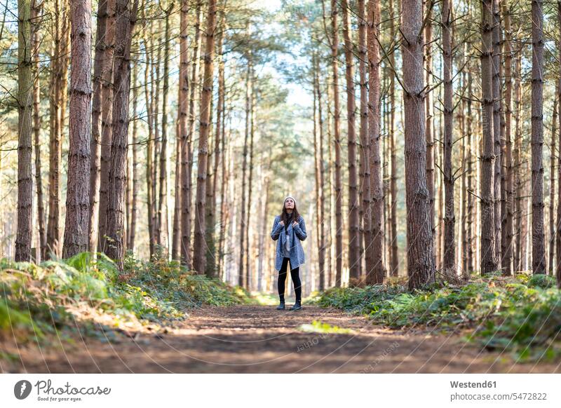 Female hiker exploring in Cannock Chase woodland during winter season color image colour image outdoors location shots outdoor shot outdoor shots day