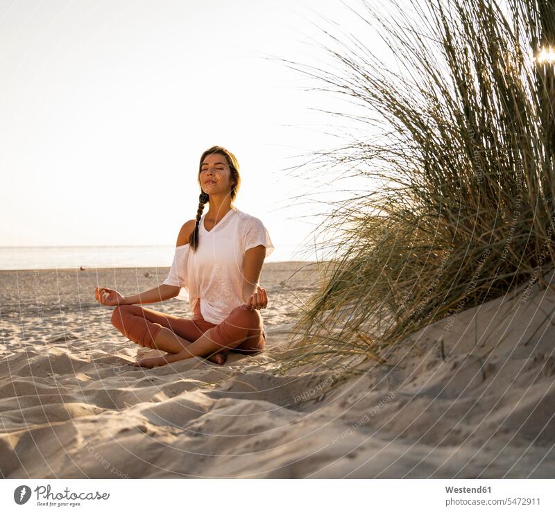 Beautiful young woman practicing yoga while sitting by plant on sand at beach against clear sky during sunset color image colour image Netherlands Holland