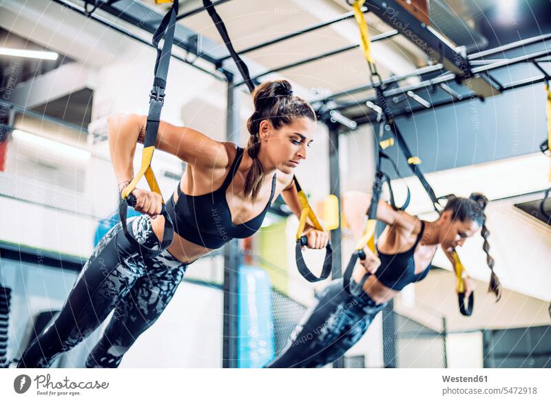 Twin sisters doing suspension traning in the gym exercise practising train training hold exercising practice practise pull sports fit free time leisure time