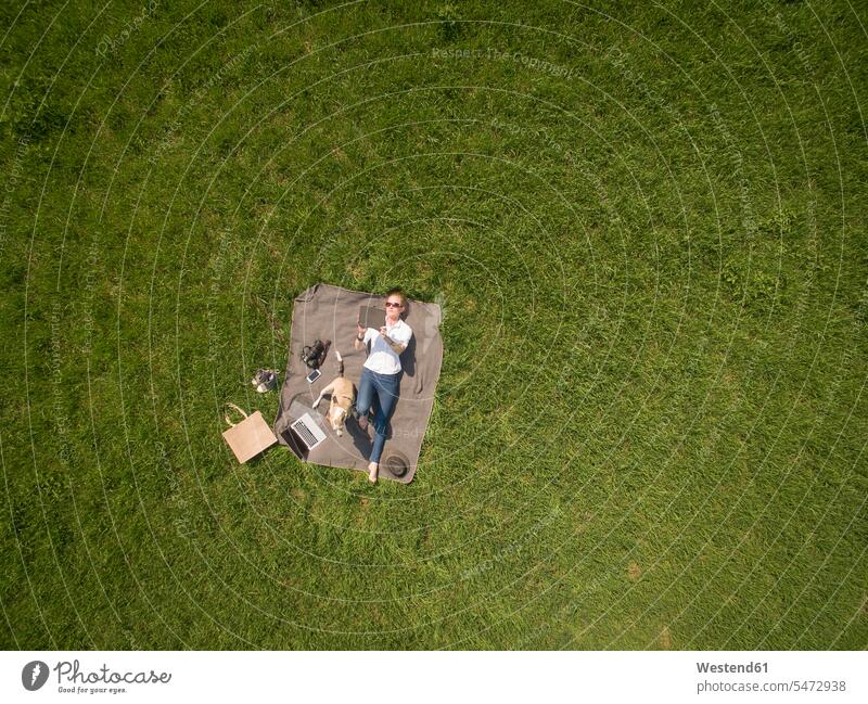 Bird's eye view of woman lying on blanket on meadow with dog using tablet meadows laying down lie lying down Blanket Blankets females women dogs Canine