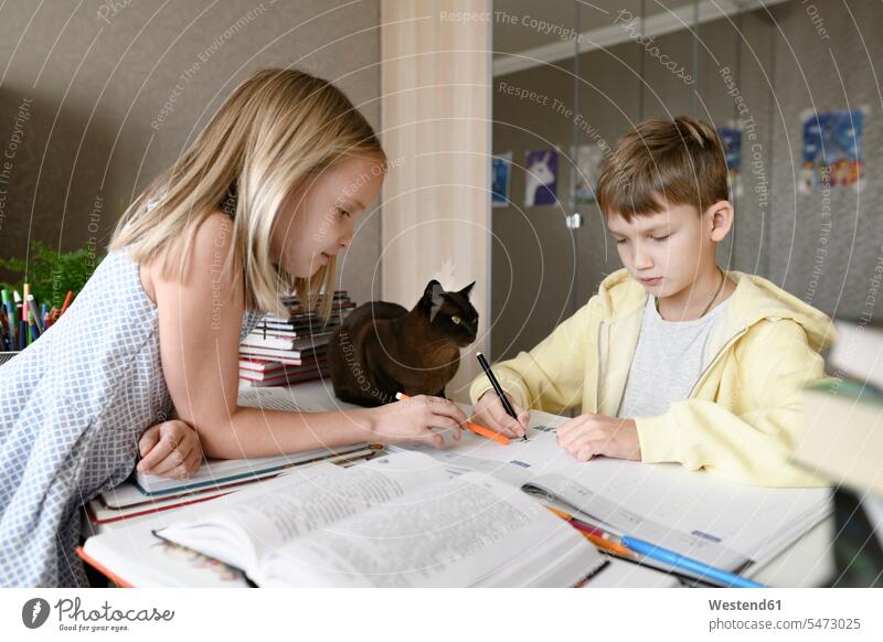 Brother and sister with a cat sitting at table at home doing homework together pupils schoolchild schoolchildren animals creature creatures domestic animal pet