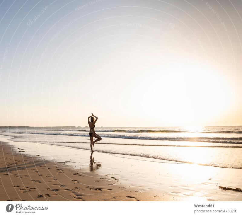 Your next creative beach photo idea using 🐚 . . . . . . . . #MissGreeshma # beach #shootidea #beachphotography | Instagram
