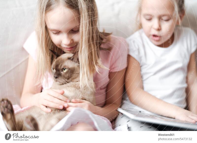 Smiling little girl stroking Burmese cat while her sister reading a book friends mate female friend animals creature creatures domestic animal pet cats books