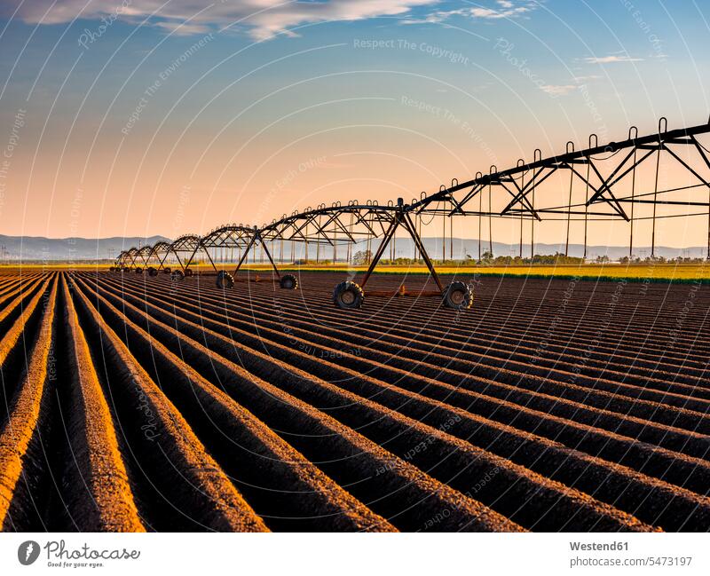 Irrigation system in agricultural field during sunset color image colour image outdoors location shots outdoor shot outdoor shots sunsets sundown atmosphere